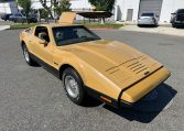 1976 Bricklin Barn Find 9465