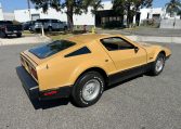 1976 Bricklin Barn Find 9468