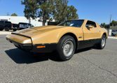 1976 Bricklin Barn Find 9473