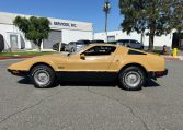 1976 Bricklin Barn Find 9474