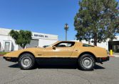 1976 Bricklin Barn Find 9475