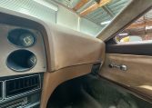 1976 Bricklin Barn Find 9493