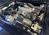 IMG_6415 (2)