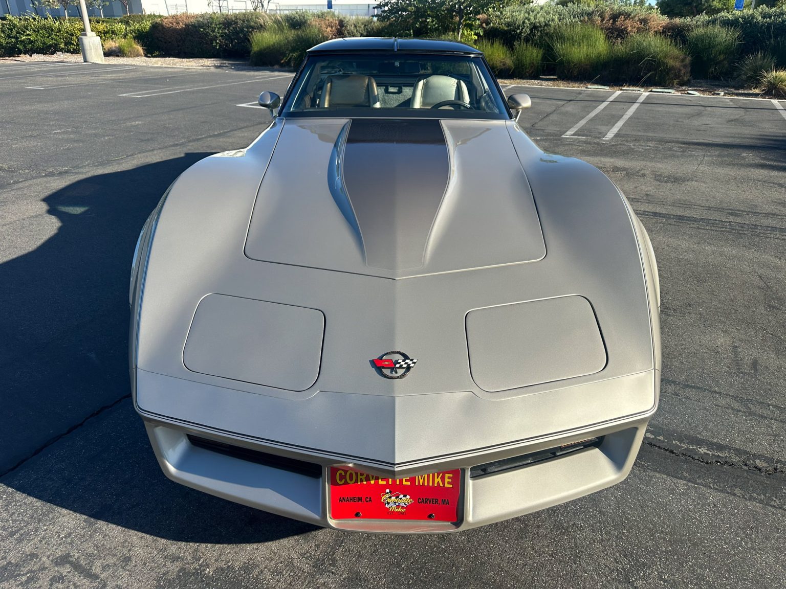 BaT 1982 Corvette Collector Edition 8529