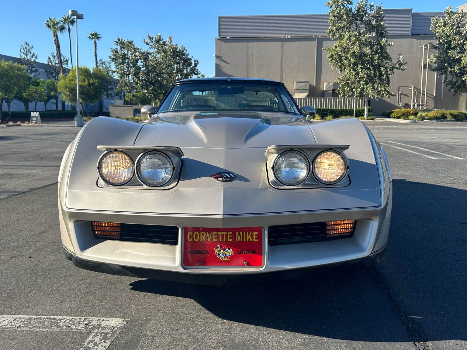 BaT 1982 Corvette Collector Edition 8537