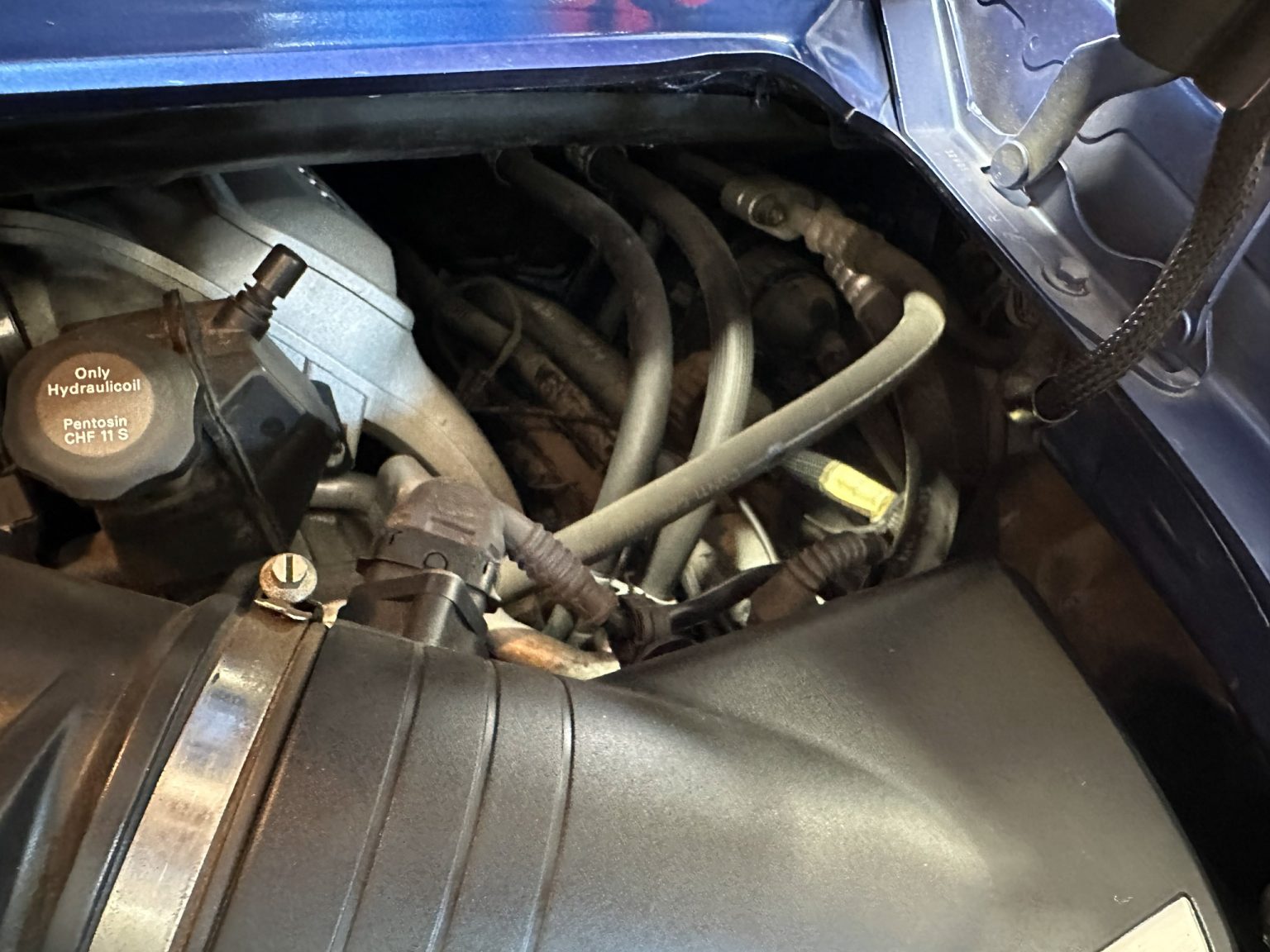 BaT 2006 Blue Porsche 911 Cabriolet 7961