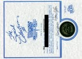 website 1964 Docs 2