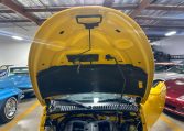 1999 Yellow Prowler 8668