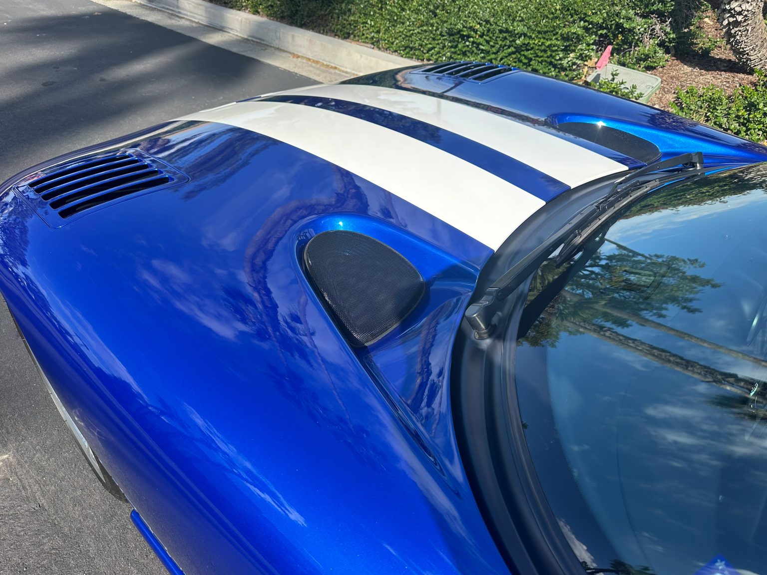 1996 Blue Viper GTS 0283