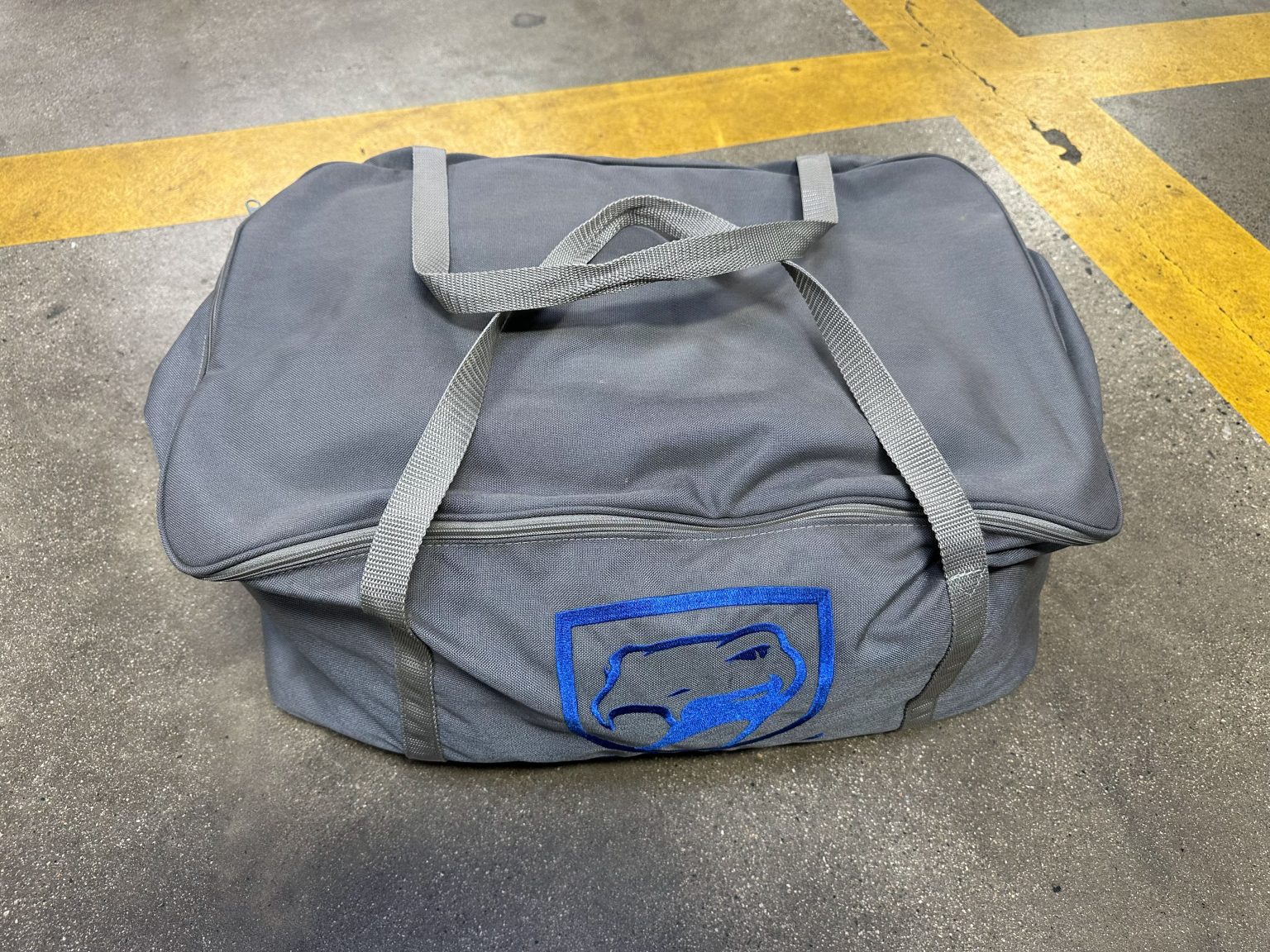 1996 Blue Viper GTS 0322