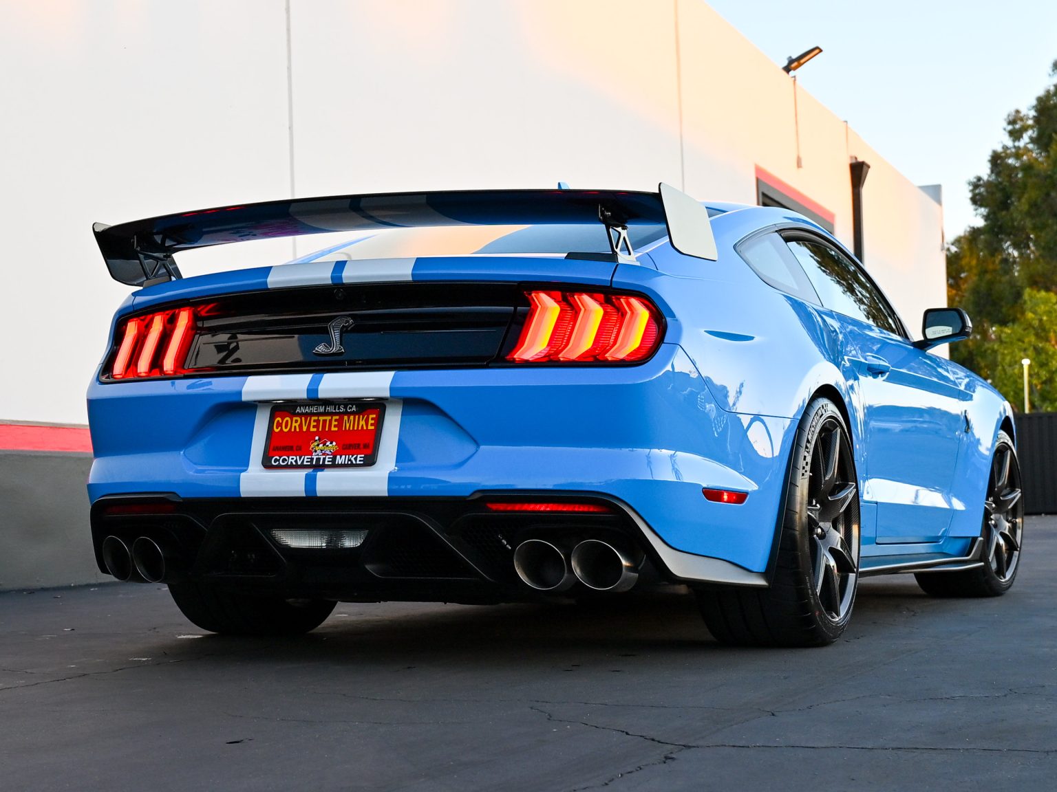 2022 Grabber Blue Metallic Ford Shelby GT500 1647